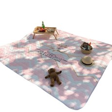 Owen Camping Alexis 野餐墊, 類型8