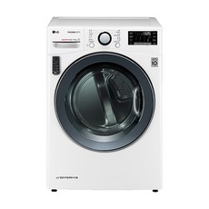 LG전자 트롬 건조기 16kg 방문설치 화이트, RH14WN