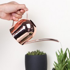 迷你復古澆花器 粉色, 1個