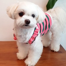 KOKOMAPET 酸甜蘋果茶寵物T恤, 粉紅色