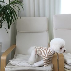 MAGDOG 狗狗楓葉T恤, 米色