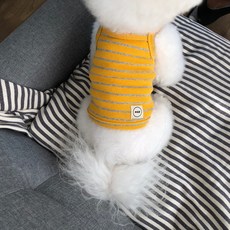 MAGDOG 狗狗果汁感短版T恤, 橘色, 1個