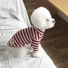 MAGDOG 狗狗楓葉T恤, 酒紅色