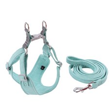 PASTEL PET 絨面革狗狗胸背帶組 XS, 薄荷綠, 1套