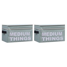 Market Pio 英文字母印花無紡布多用途收納箱, 綠色, 33 x 21 x 21 cm, 2個