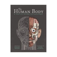 The Human Body : A Pop-Up Guide to Anatomy, TemplarPublishing