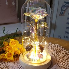 玻璃罩仿真LED燈玫瑰花, Holography少年少女