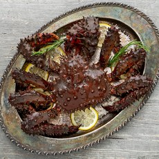 러시아산 몬스터 킹크랩, 1.1kg, 1개