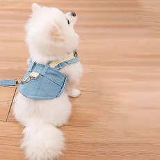 可愛牛仔外套透氣安全胸背帶套組, 混合色