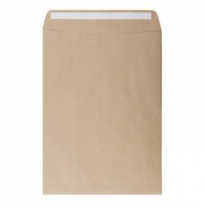 VICDREAM 雙面自黏文件袋, A4, 500個