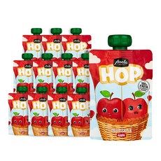 아넬라 생과일 짜먹는 외출용 아넬라HOP 유아간식, 100g, 12개, 사과