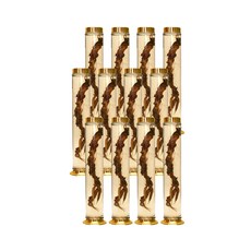 수동 37호 일자형 유리병, 12개