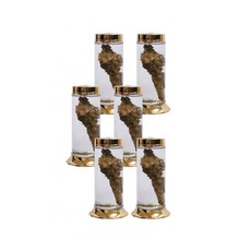 수동 88호 일자형 유리병, 2.5L, 6개