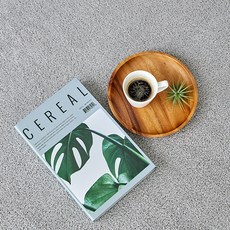 initium 素色基本款短毛地毯