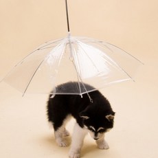 DING DONG PET 狗狗散步雨傘, 透明, 1個