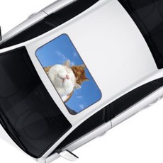 차량용 나만의 썬루프 인테리어 데칼스티커 고양이커플, 전차종