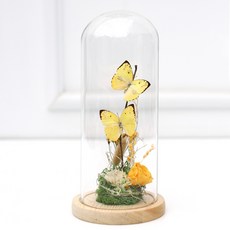 아침향기 프리저브드 플라워 나비 무드등, 옐로우