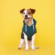 Flot 標準無袖連帽狗狗服, 綠色