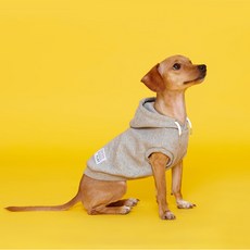 Flot 標準無袖連帽狗狗服, 灰色