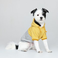Flot 撞色拼接狗狗連帽衫, 黃灰色
