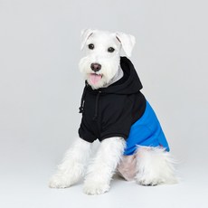 Flot 撞色拼接狗狗連帽衫, 藍黑色