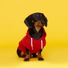 Flot 標準無袖連帽狗狗服, 紅色