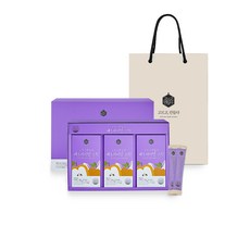 고르고만들다 배도라지청 스틱, 300ml, 1박스
