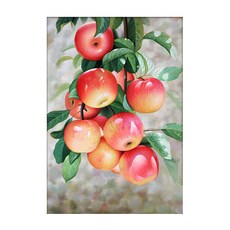 KMELLIE 3D 招財紅蘋果 圓形 鑽石畫 DIY 套組 30 x 40 cm, 混色, 1套