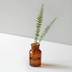 블루밍앤미 조화 트로피칼 립 2p + 시약병 125ml 세트, 갈색, 1개