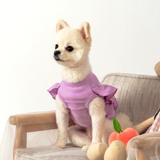 Amy Loves Pet 彩繪短版T恤, 紫色