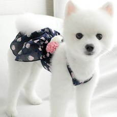 동동이네 반려동물 딸기 원피스, 네이비, 1개