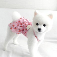 동동이네 반려동물 딸기 원피스, 핑크, 1개