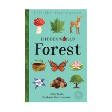Hidden World : Forest, LittleTigerPressGroup