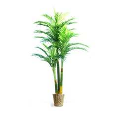 도시정원 자이언트 아레카팜 240 바구니 2종 세트, 혼합색상, 1세트