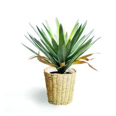 Garden in the City 人造絲蘭 50 + 花籃套組, 混色, 1套