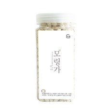 모링가 씨앗, 300g, 1개