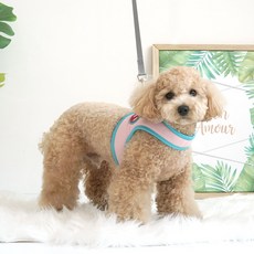 패리스독 와이티 강아지 하네스 M, 핑크, 1세트