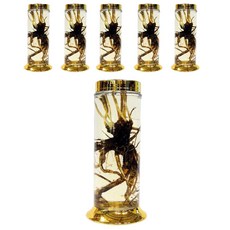 수동 56호 일자형 유리병, 5.5L, 6개