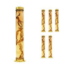 수동 14호 일자형 유리병, 6L, 6개