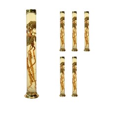 수동 45호 일자형 유리병, 6.5L, 6개