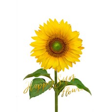 向日葵裝飾畫框 垂直 02款