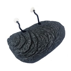 SAMAQUA zeptile 海龜浮島避難所, 1個