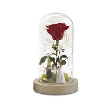 디앤에프컴퍼니 프리저브드 플라워 신랑신부 장미유리돔 무드등 L, 체리레드