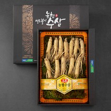 농협 금산인삼 선물세트 + 쇼핑백, 700g(수삼 12~14뿌리), 1세트