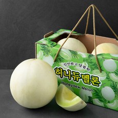 허니듀메론 2개입 박스 특대, 1박스
