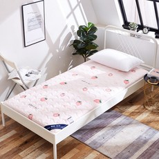 Lamis床墊 C102, 6cm, 1型