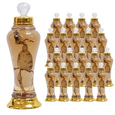 YnG 玻璃浸漬瓶, 20入, 500ml