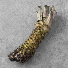 일본산 고추냉이, 130g, 1개