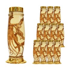 항아리형 담금주병 수동 20호, 12개