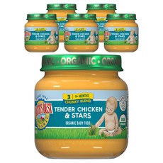 얼스베스트 유기농 3단계 이유식 113g, 닭고기 + 스타 혼합맛, 6개